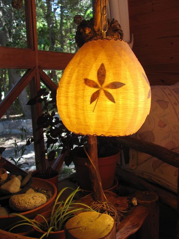 Hosteria Pichi Rincon Villa La Angostura Eksteriør billede